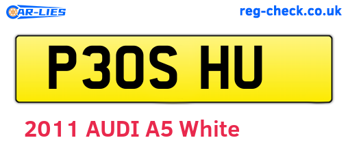P30SHU are the vehicle registration plates.