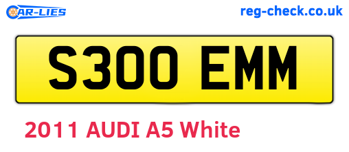 S300EMM are the vehicle registration plates.