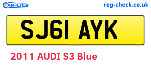 SJ61AYK are the vehicle registration plates.