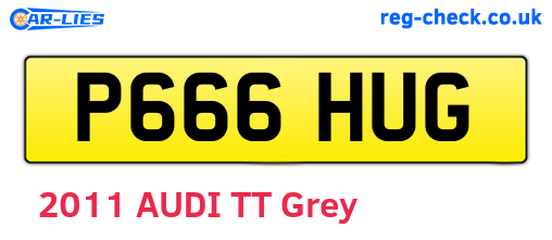 P666HUG are the vehicle registration plates.