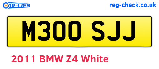 M300SJJ are the vehicle registration plates.