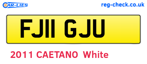 FJ11GJU are the vehicle registration plates.