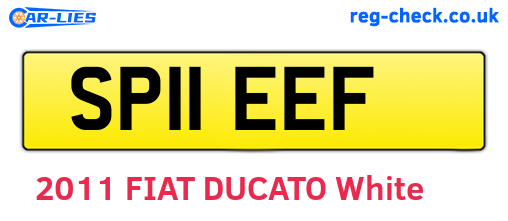 SP11EEF are the vehicle registration plates.