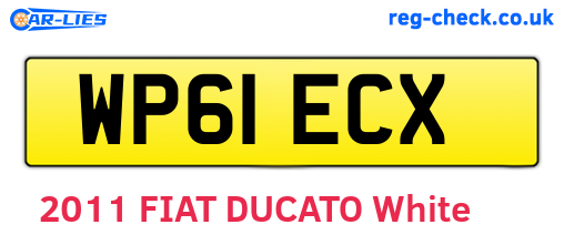 WP61ECX are the vehicle registration plates.