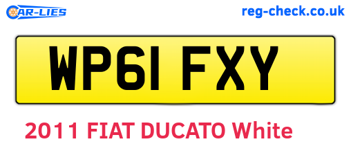 WP61FXY are the vehicle registration plates.