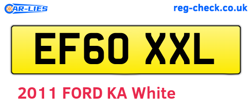 EF60XXL are the vehicle registration plates.