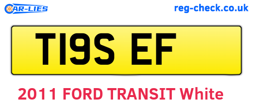 T19SEF are the vehicle registration plates.