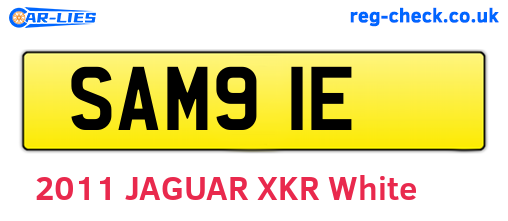 SAM91E are the vehicle registration plates.