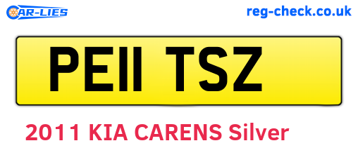 PE11TSZ are the vehicle registration plates.