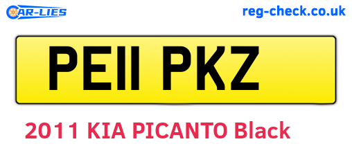 PE11PKZ are the vehicle registration plates.