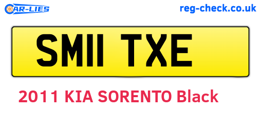 SM11TXE are the vehicle registration plates.