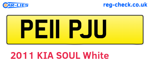 PE11PJU are the vehicle registration plates.