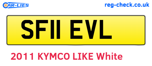 SF11EVL are the vehicle registration plates.
