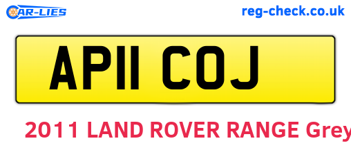 AP11COJ are the vehicle registration plates.