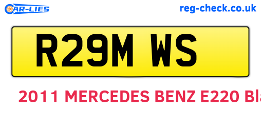 R29MWS are the vehicle registration plates.