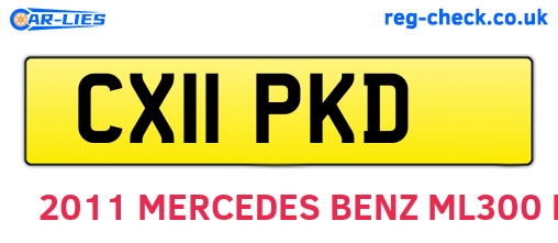 CX11PKD are the vehicle registration plates.