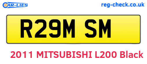 R29MSM are the vehicle registration plates.