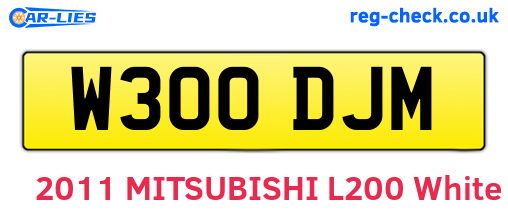 W300DJM are the vehicle registration plates.