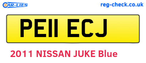 PE11ECJ are the vehicle registration plates.