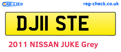 DJ11STE are the vehicle registration plates.