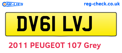 DV61LVJ are the vehicle registration plates.