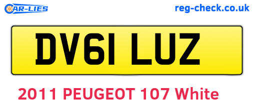 DV61LUZ are the vehicle registration plates.