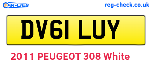 DV61LUY are the vehicle registration plates.