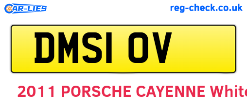 DMS10V are the vehicle registration plates.