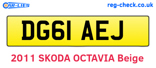 DG61AEJ are the vehicle registration plates.