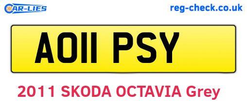AO11PSY are the vehicle registration plates.