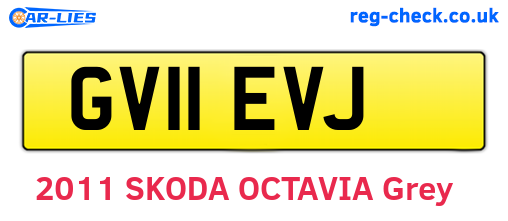 GV11EVJ are the vehicle registration plates.