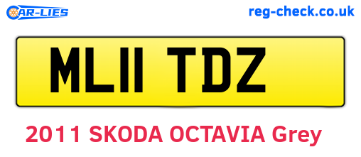 ML11TDZ are the vehicle registration plates.