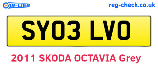 SY03LVO are the vehicle registration plates.