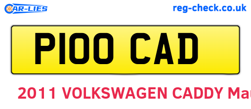 P100CAD are the vehicle registration plates.