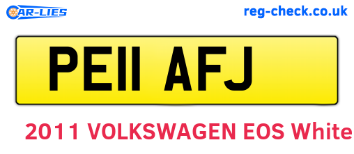 PE11AFJ are the vehicle registration plates.