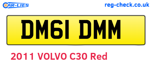 DM61DMM are the vehicle registration plates.