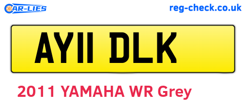 AY11DLK are the vehicle registration plates.