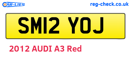 SM12YOJ are the vehicle registration plates.