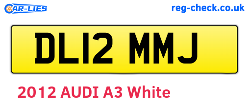 DL12MMJ are the vehicle registration plates.