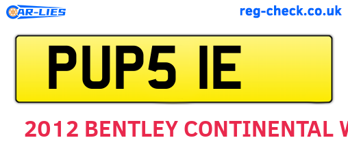 PUP51E are the vehicle registration plates.