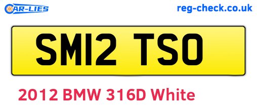 SM12TSO are the vehicle registration plates.
