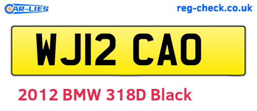WJ12CAO are the vehicle registration plates.