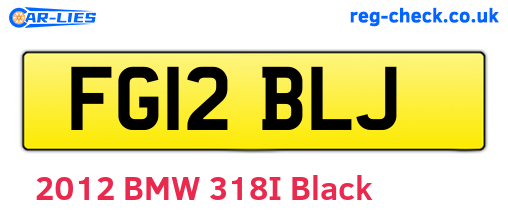 FG12BLJ are the vehicle registration plates.