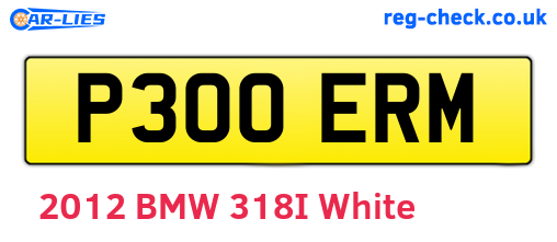 P300ERM are the vehicle registration plates.