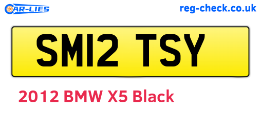 SM12TSY are the vehicle registration plates.