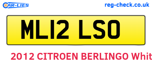 ML12LSO are the vehicle registration plates.