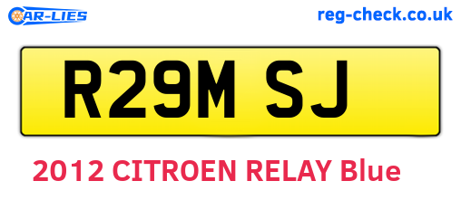 R29MSJ are the vehicle registration plates.