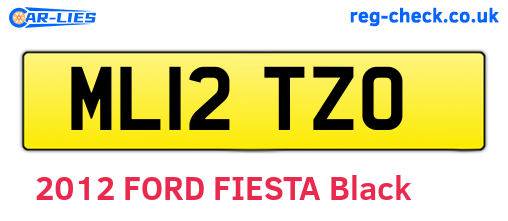ML12TZO are the vehicle registration plates.