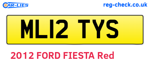 ML12TYS are the vehicle registration plates.