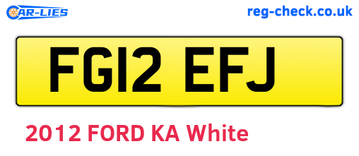 FG12EFJ are the vehicle registration plates.